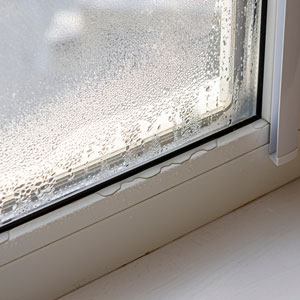 Drops Of Condensate And Black Mold On A Substandard Metal Plastic Window