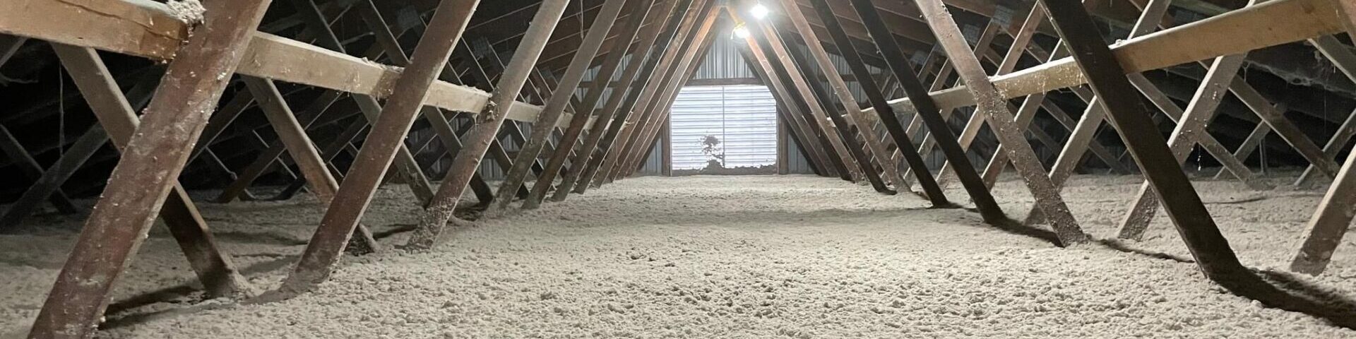 Cellulose Attic (1)